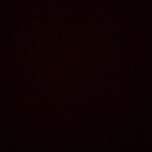 Meet your Posher, Lia